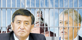 Жээнбеков VS Атамбаев: «Өгізге туған күн бұзауға да туады»