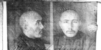 Ахмет Төлегеновті «жапон тыңшысы» дегенге кім сенеді?