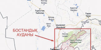 Оңтүстік Қазақстан аудандары үшін күрес