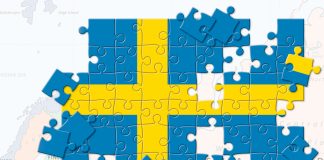 COVID-19: Швеция коронавируспен карантинсіз қалай күреспек болды?