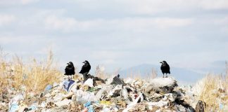 Қазақстанның қоқысынан неге көп ақшаның «иісі» шықпайды?