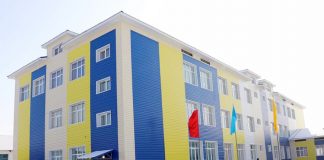 Тоғыз жолдың торабындағы толайым тіршілік