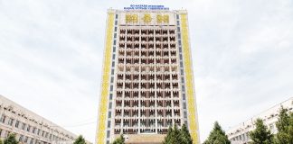 Қарашаңырақтың қарлығаштары