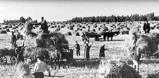 Ескірмейтін естелік: Болмаған балалық шақ