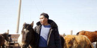 Ауыл шаруашылығына қандай қолдау бар?
