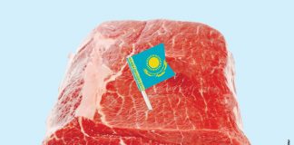 Қазақстанға ет экспортынан қалай пайда табуға болады?