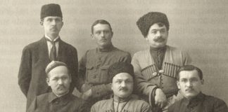 Шетелге бетбұрыс: Мұстафа Шоқай эмиграциясының Грузиядағы кезеңі