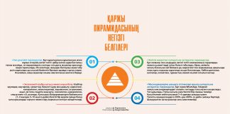 Қаржы пирамидасының негізгі белгілері (инфографика)