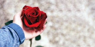 Қызыл гүл (әңгіме)