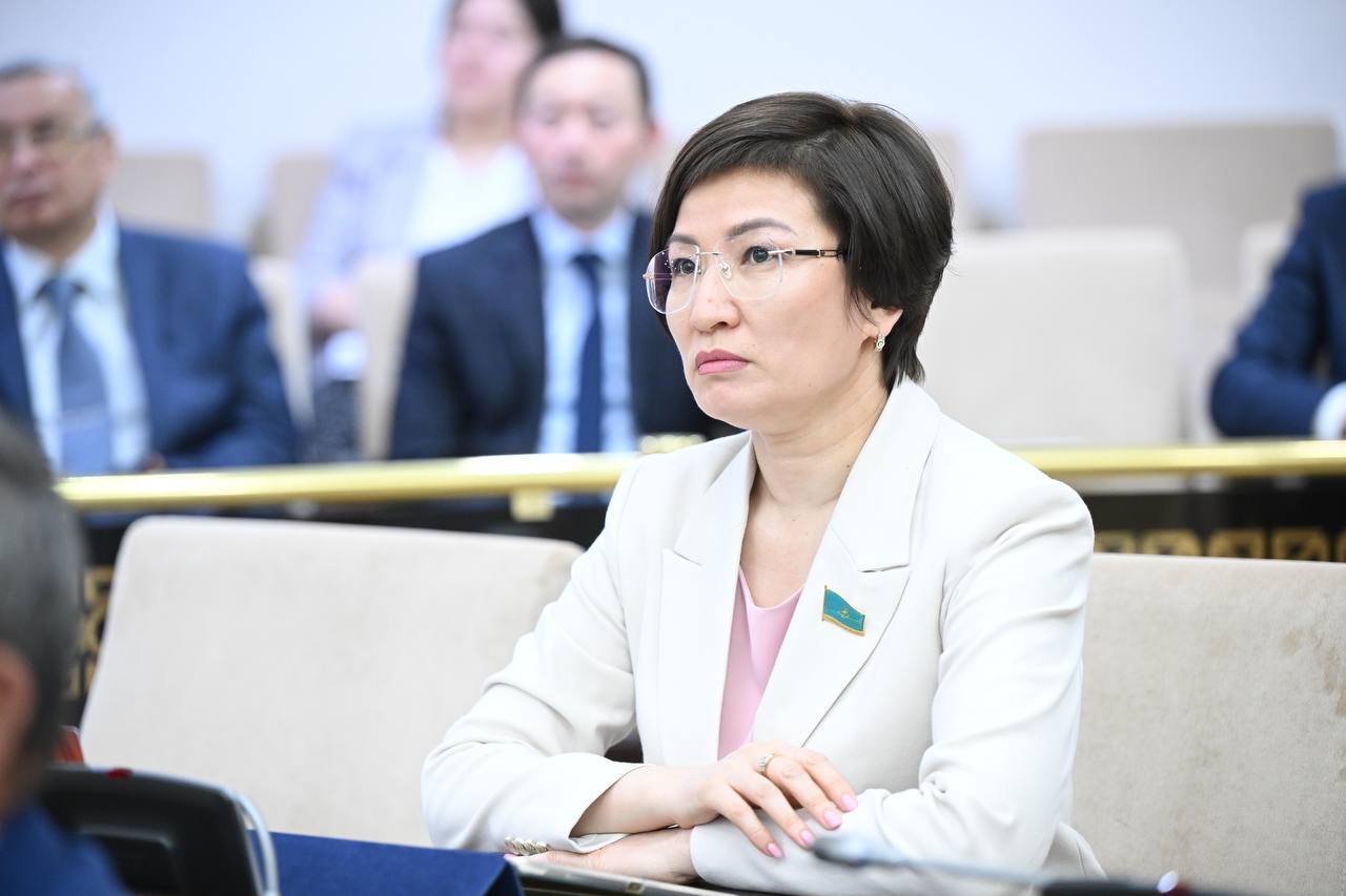 Әсем РАХМЕТОВА: Сұхбатта Мемлекет басшысының халықшыл позициясы көрінеді