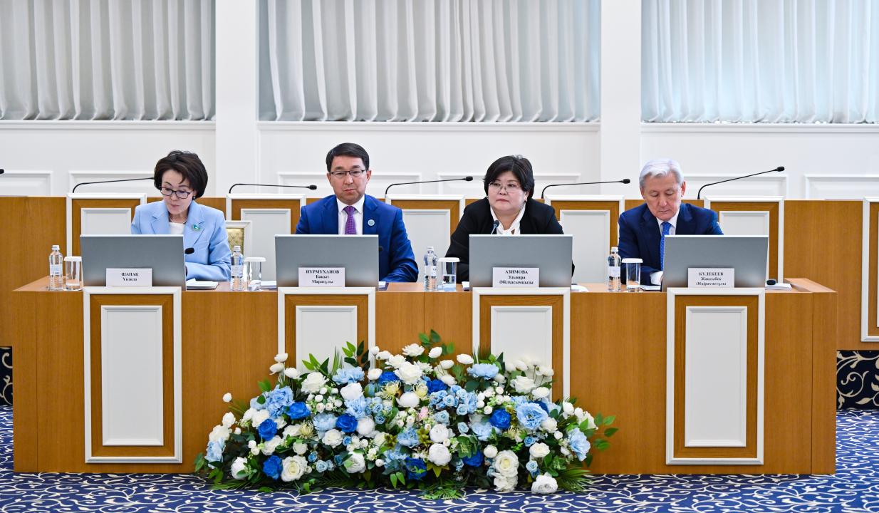 Жаңа Конституция: орнықты дамудың институционалдық және құқықтық негізі